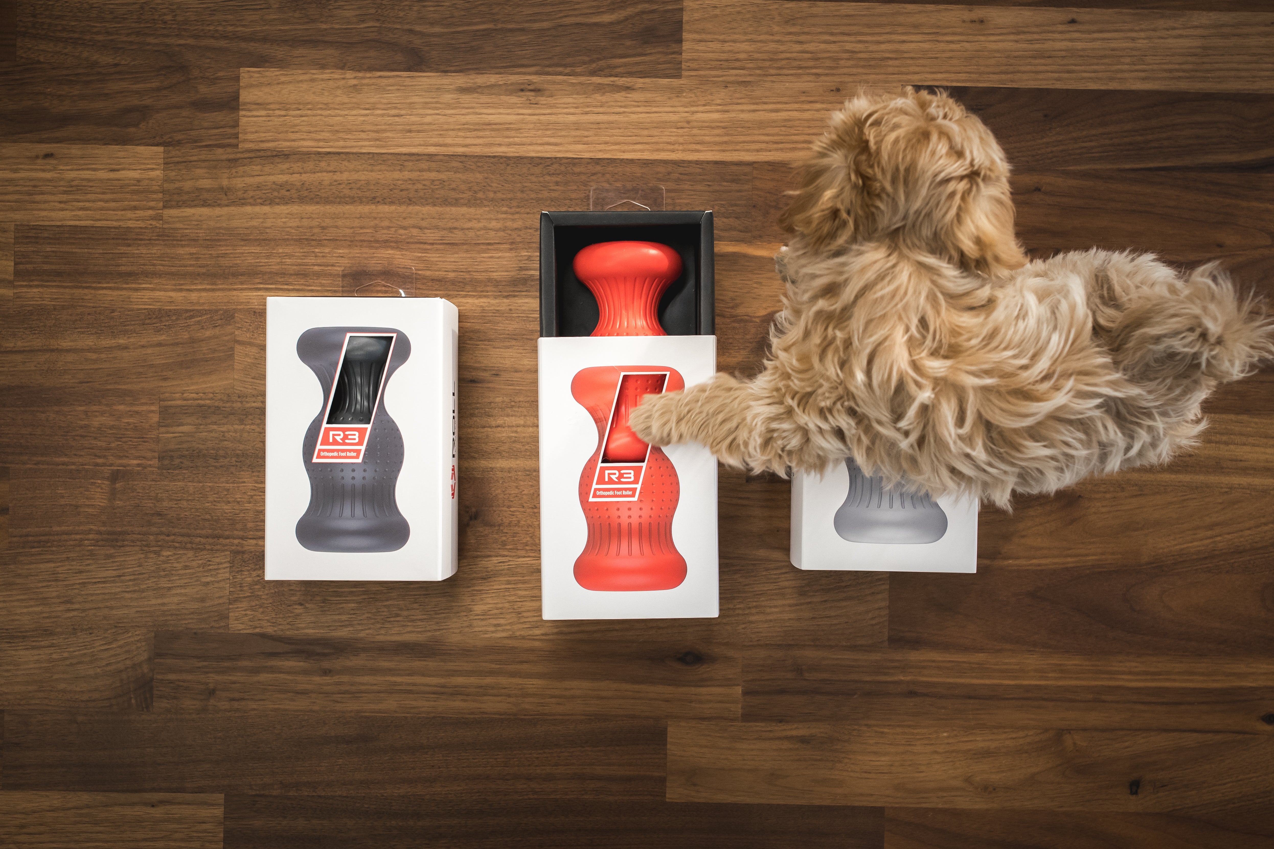 HOLIDAY GIVEAWAY – ROLL Recovery